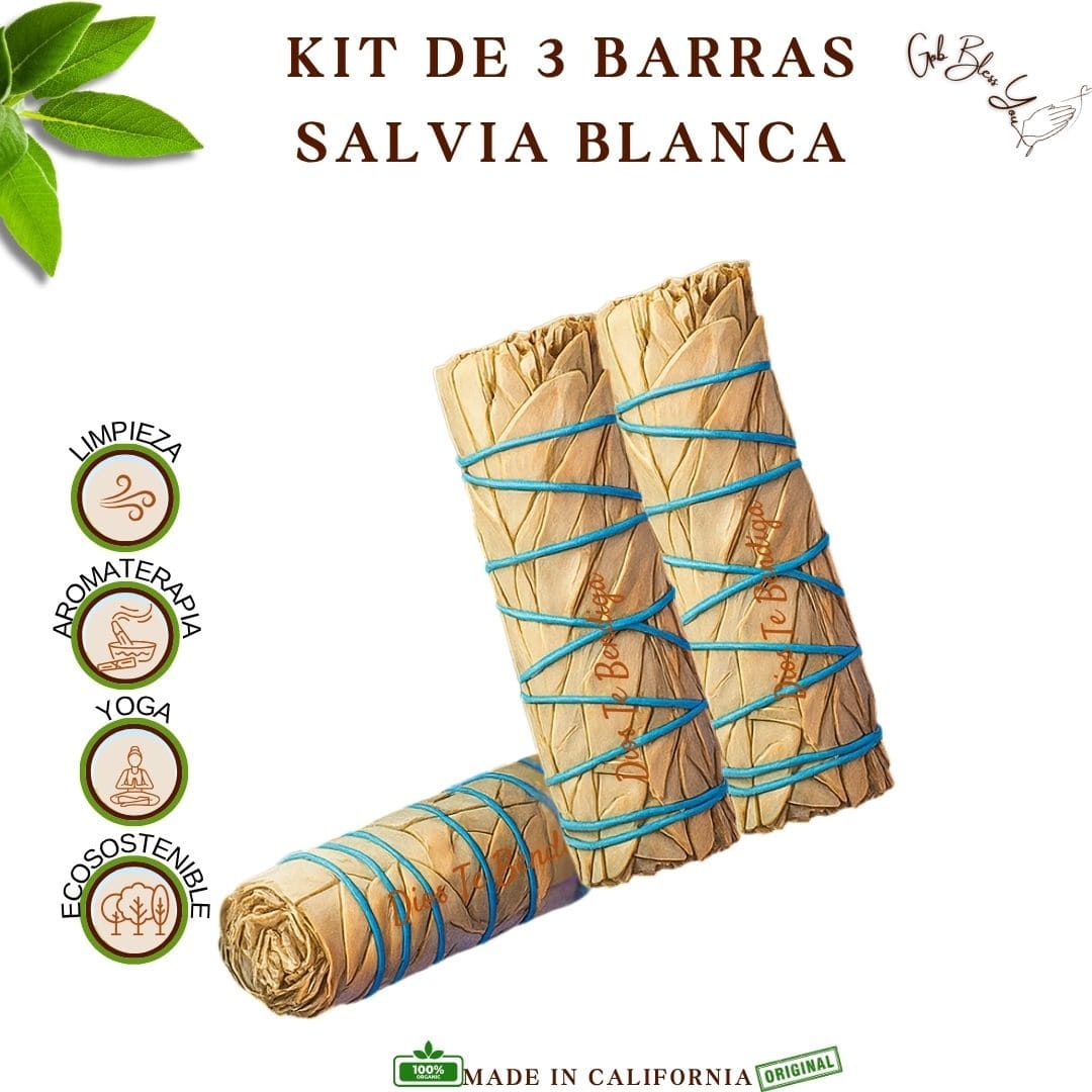 PACK DE SALVIA BLANCA DE 4" A+