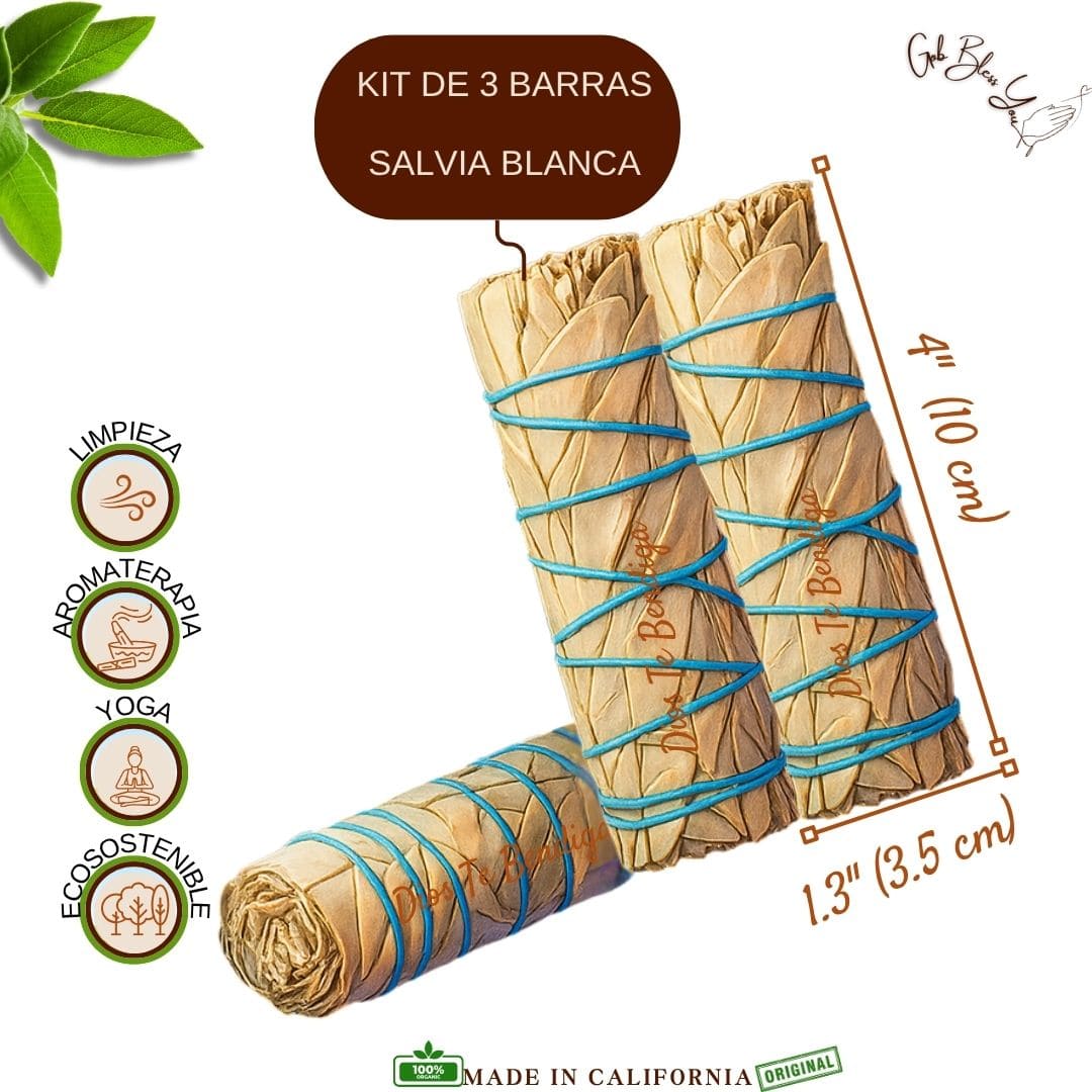 PACK DE SALVIA BLANCA DE 4" A+