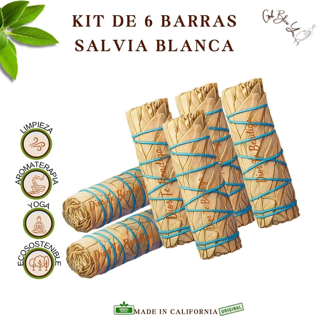 PACK DE SALVIA BLANCA DE 4" A+