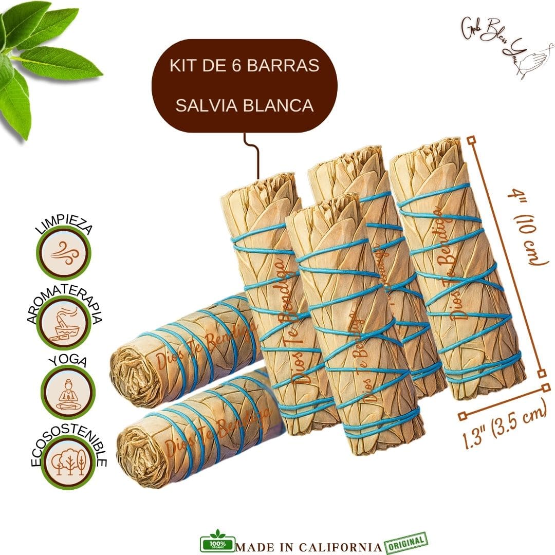 PACK DE SALVIA BLANCA DE 4" A+